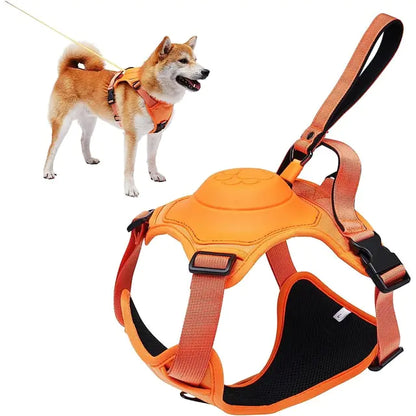 CanineComfort - All-in-One Dog Harness