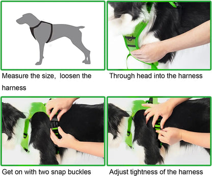 CanineComfort - All-in-One Dog Harness